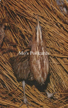 Load image into Gallery viewer, Illustration of a bird on straw with 'Mo's Postcards' text