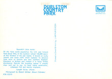 Load image into Gallery viewer, Back cover of a book or document with text and a logo, featuring 'Durlston Country Park' on a white background.