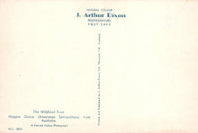 Load image into Gallery viewer, Vintage postcard with text about J. Arthur Dixon and the Wildfowl Trust.