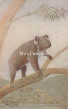 Load image into Gallery viewer, Illustration of a bear on a branch
