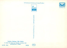 Load image into Gallery viewer, Vintage railway ticket or pass with text and logos on a gradient background