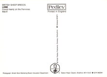 Load image into Gallery viewer, Back of a book or paper with 'Pedley' branding and text about British sheep breeds.