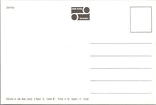 Load image into Gallery viewer, Norfolk Postcard - The Pier, Cromer SW17636