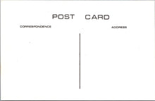 Load image into Gallery viewer, Somerset Postcard - Old Taunton, A Row of Shops c1912 - SW17646