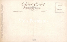 Load image into Gallery viewer, Sussex Postcard - Arundel Park, Artist A.R.Quinton  SW18655