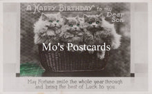 Load image into Gallery viewer, Greetings Postcard - Basket of Cats, A Happy Birthday SW18660