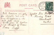 Load image into Gallery viewer, Berkshire Postcard - Reading, The Forbury Gardens and Lion Monument  SW18682