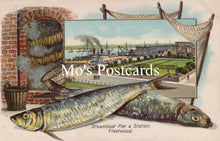 Load image into Gallery viewer, Lancashire Postcard - Fleetwood Steamboat Pier and Station  SW18690