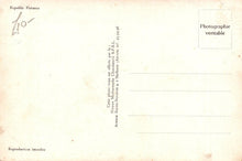 Load image into Gallery viewer, Film Star Postcard - American Actors Gene Autry and June Storey  SW18639