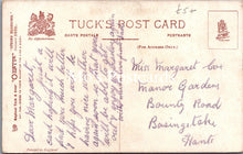 Load image into Gallery viewer, Nature Postcard - The Laburnum Tree, Artist Harry Payne SX257