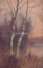 Load image into Gallery viewer, Nature Postcard - Trees, Burnham Beeches SW18573