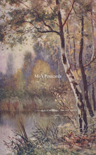 Load image into Gallery viewer, Nature Postcard - Trees, Burnham Beeches SW18574