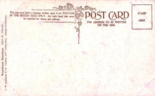 Load image into Gallery viewer, Nature Postcard - Trees, Burnham Beeches SW18574