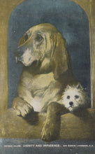 Load image into Gallery viewer, Two dogs, one large and one small, sitting together with a dark background