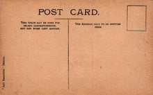 Load image into Gallery viewer, Handmade Postcard - Flowers, A Wild Rose VT102