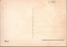 Load image into Gallery viewer, Italy Postcard - Merano Panorama   SW16905