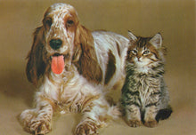 Load image into Gallery viewer, Dog and cat sitting together on a beige background