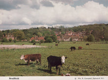 Load image into Gallery viewer, Cows grazing in a field with a village in the background