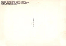 Load image into Gallery viewer, Text on a white background with 'Welsh Arts Council' mentioned