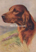 Load image into Gallery viewer, Animals Postcard - Dogs, The Irish Setter SW18914