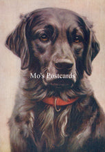 Load image into Gallery viewer, Animals Postcard - Dogs, The Labrador SW18915