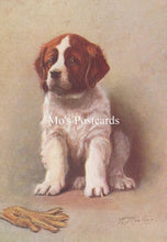 Load image into Gallery viewer, Animals Postcard - Dogs, The St Bernard SW18916