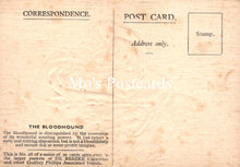 Load image into Gallery viewer, Animals Postcard - Dogs, The Bloodhound SW18917