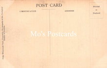 Load image into Gallery viewer, Animals Postcard - Tigress and Cubs, Whipsnade Park SW18924