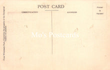 Load image into Gallery viewer, Animals Postcard - Chapman's Zebras, Whipsnade Park SW18925