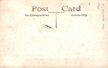 Load image into Gallery viewer, Animals Postcard - Birds, Great Dunmow Owl SW18927