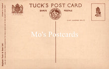 Load image into Gallery viewer, Animals Postcard - Dogs, Dave and Dusty SW18930