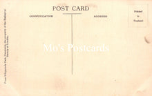 Load image into Gallery viewer, Animals Postcard - Chimpanzees, Whipsnade Zoological Park SW18937