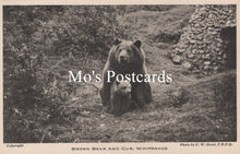 Load image into Gallery viewer, Animals Postcard - Brown Bear and Cub, Whipsnade Zoological Park SW18938