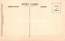 Load image into Gallery viewer, Animals Postcard - Brown Bear and Cub, Whipsnade Zoological Park SW18938