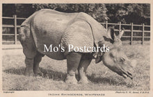 Load image into Gallery viewer, Animals Postcard - Indian Rhinoceros, Whipsnade Zoological Park SW18940