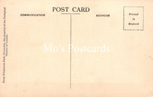 Load image into Gallery viewer, Animals Postcard - Lions, Whipsnade Zoological Park SW18942