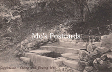 Load image into Gallery viewer, Yorkshire Postcard - Giggleswick, Ebbing and Flowing Well SW19954
