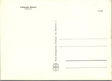 Load image into Gallery viewer, Germany Postcard - Freiburger Munster, Vorhalle SW17061