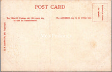 Load image into Gallery viewer, Bristol Postcard - Steamer on The River Avon, Showing Woods SX15
