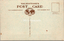 Load image into Gallery viewer, Devon Postcard - Torquay, Princess Pier and Gardens    SX119