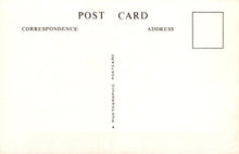 Load image into Gallery viewer, Blank postcard with 'Post Correspondence Address' text and a rectangular area for a photograph.