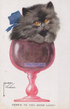 Load image into Gallery viewer, Cat in a pink glass with a blue bow, labeled 'Miss Postcards'.