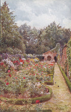 Load image into Gallery viewer, Nature Postcard - The Rose Garden, Drakelowe SW18341