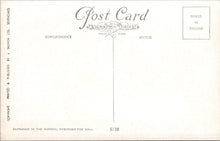 Load image into Gallery viewer, Nature Postcard - Entrance in The Garden, Ayscough Fee Hall SW18344