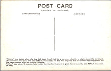 Load image into Gallery viewer, Animal Welfare Postcard - Dog Rescue, RSPCA Work SW18350