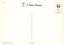 Load image into Gallery viewer, Back of a Dennis the Menace postcard with branding and text.