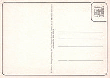 Load image into Gallery viewer, Toys Postcard - Teddy Bears in a Bathtub Boat SW20305