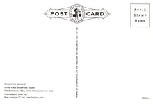 Load image into Gallery viewer, Essex Postcard - Peter Pan's Adventure Island, Southend-on-Sea SW20311