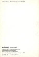 Load image into Gallery viewer, Text on a white background with 'British Museum (Natural History)' information.