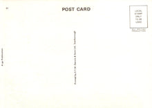 Load image into Gallery viewer, Back of a postcard with text and a stamp area.